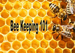 Bee Keeping 101