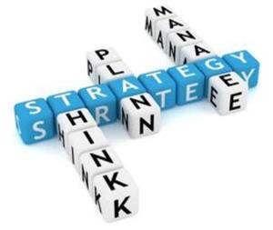 Think Plan Manage Strategy