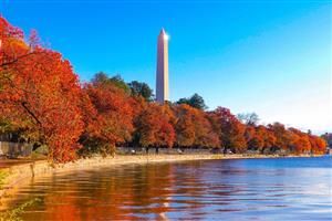Washington DC- Fall Foliage